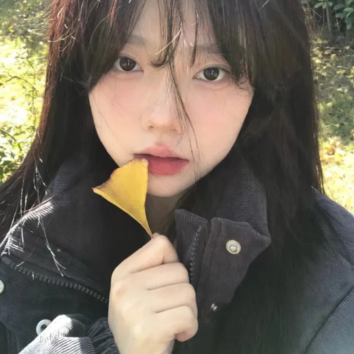 青春皇家恋曲